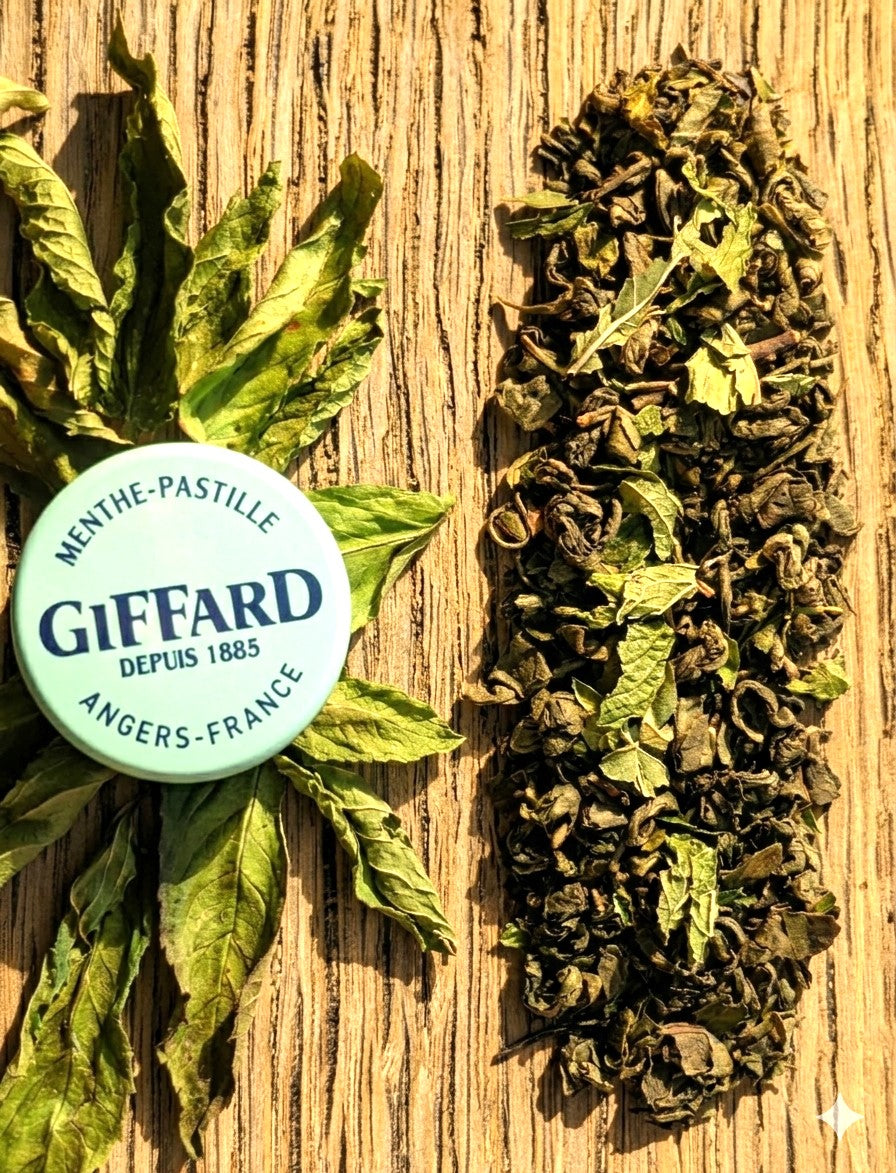 DA08- Thé vert à la Menthe & Menthe-Pastille® Collection DOUCEUR ANGEVINE®
